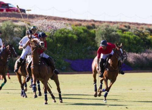 Marrakech’s First Polo Field Unveiled: A Blend of Luxury and Sport